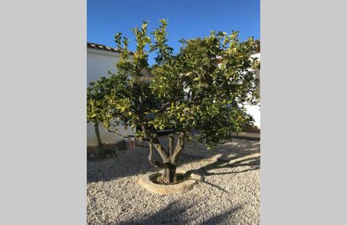 Benimeit Villa | Villas in Teulada, Spain