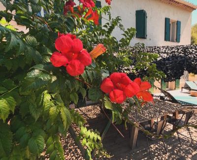 Cassis Villa | Villavos- Le Bocage
