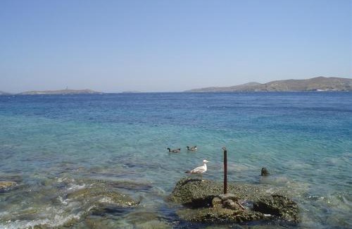 Posidonia House | Villetta IRENULLA