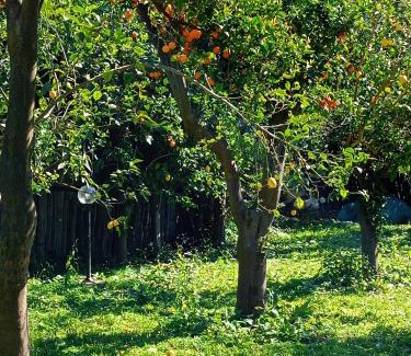 Meta Bed & Breakfast | Villino L'Aranceto Sorrentino