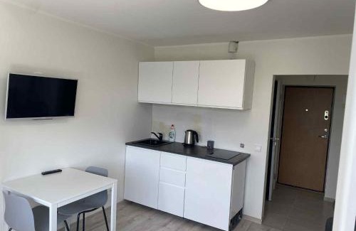 Vilnius Apartment | Vilnius Town Apartmen with balcony