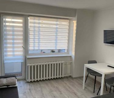 Vilnius Apartment | Vilnius Town Apartmen with balcony