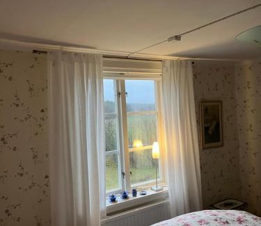 Enhorna House | Vinberga