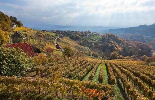 Srednje Grcevje House | Vineyard Cottage Ucman
