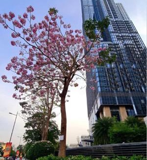 Hang Xanh Hotel | Vinhomes Landmark Luxury Apartment by Navie