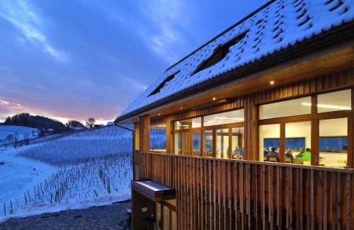 Zgornja Kungota House | Vino Valdhuber Apartments