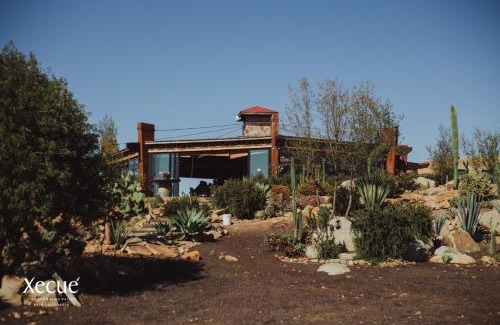 Valle de Guadalupe Hotel | Vinos Xecué
