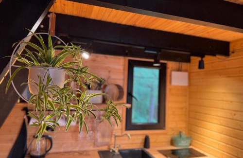 Tsqaltubo Ski Chalet | Vintage Cabin