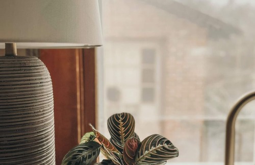 Grants Pass House | Vintage Retreat Nestled in downtown Grants Pass, OR