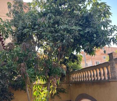 Ismailia Villa | VIP villa Ali