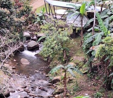Doi Saket Resort | Virgin River @Mae Wan