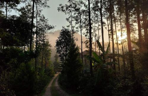 Vastare House | Vishwas Homestay - Mountain view and trekking