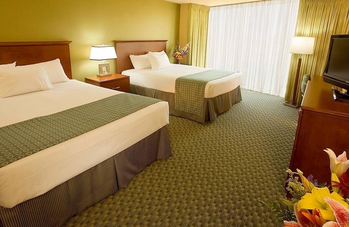 Laughlin House | Visit The Mojave Desert! Nevadas Natural Wonders Minutes From Your Door