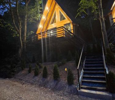 Plav Apartment | Visitor Place
