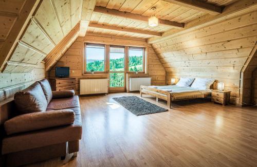 Witow Bed & Breakfast | VisitZakopane - Willa Karina