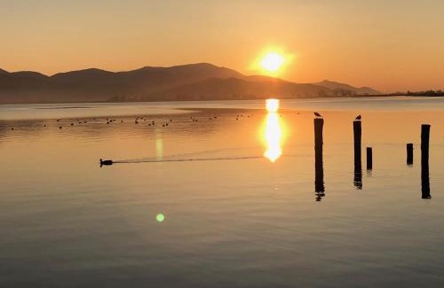 Torre del Lago Puccini Apartment | Vista Lago