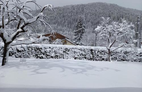 Eben im Pongau House | vista monte