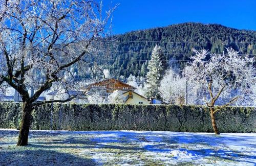 Eben im Pongau House | vista monte
