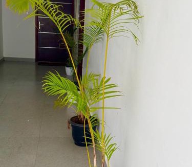 Nagampadam Apartment | VistaLux