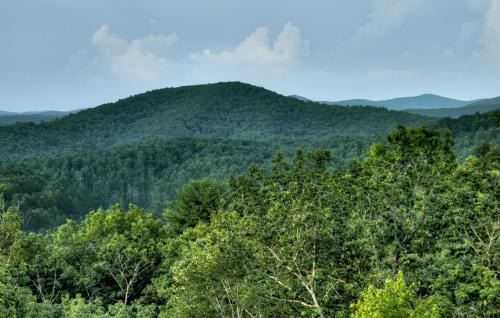 Raccoon Ridge House | Vistas Over Aska - Cuddleup
