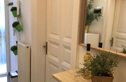 Terezvaros Apartment | Vital Apartment