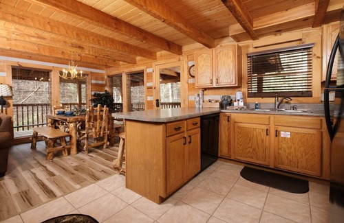 Gatlinburg Cabin | Viva La Vino - Ask About Free Attraction Tickets!