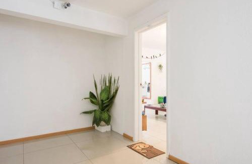 Roma Norte Apartment | Vive el corazón de la Ciudad de México