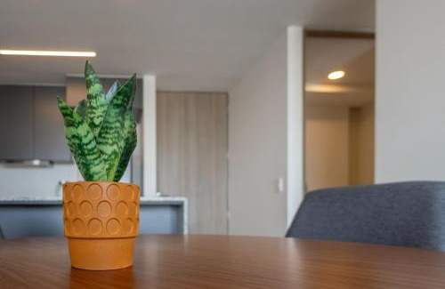 Guadalajara Apartment | Vive la Magia de Guadalajara