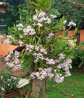 Itagua House | Viver Ubatuba