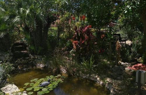 Jerez de la Frontera House | Vivienda Rural La choza