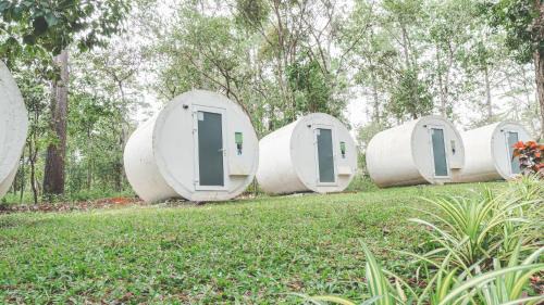 Traeng Trayueng Resort | vKirirom Pine Resort