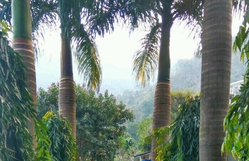 Atali Hotel | VNA Resort