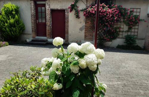 Neuvy-sur-Barangeon Bed & Breakfast | Volets rouges