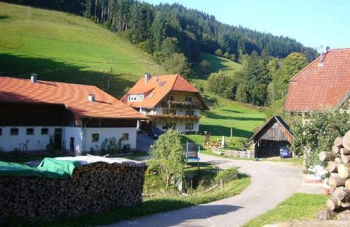 Wolfach - Saint Roman Apartment | Vollmershof