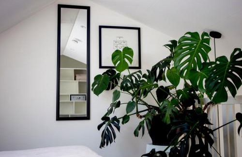Alkmaar House | Vorstelijk verblijf Alkmaar