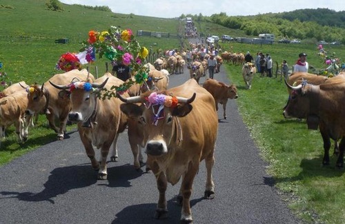 Saint-Geniez-d'Olt Other | VOS VACANCES EN PAYS D' AUBRAC La Boissière