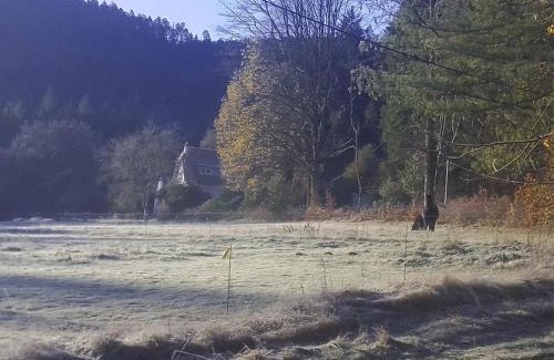 Saint-Michel-sur-Meurthe House | Vosges house 110 m2 in the heart of nature L'orée du bois