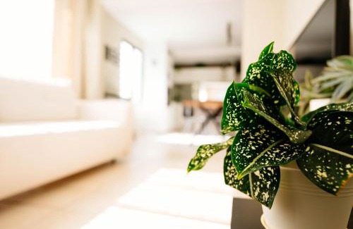 Fort-de-France Apartment | Votre oasis de tranquillité proche de la ville T2 entièrement rénové et équipé secteur centre