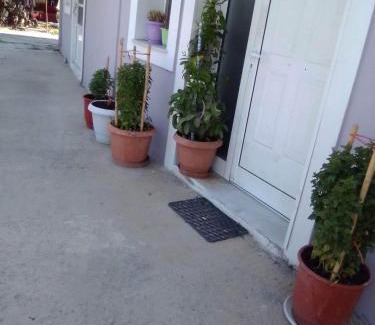 Karlovassi Apartment | VOULA'S HOUSES