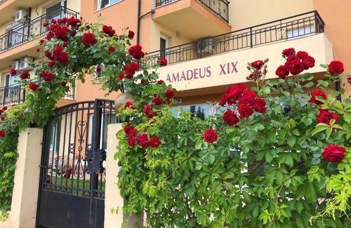 Chaika Apartment | VP Amadeus 19