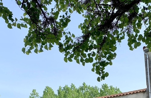 Saint-Medard-d'Aunis House | Vrbo Property