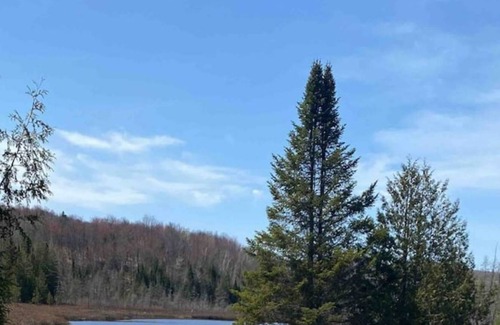 Chertsey Cabin | Vrbo Property