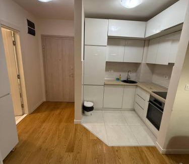 Podgorica Apartment | vrl house