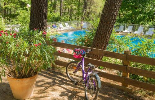 Joyeuse Resort | VTF La Croix de Vinchannes