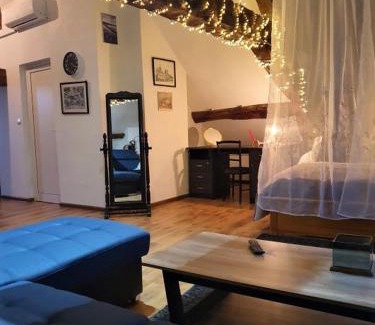 Saumur Apartment | Vue splendide sur Chateau