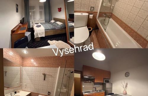 Vysehrad Apartment | Vysehrad studio near the Congress Centre