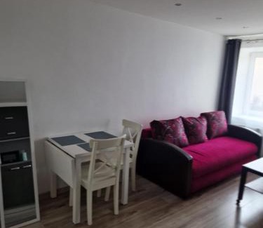 Vilnius County Apartment | VYTAUTO 3 apartment