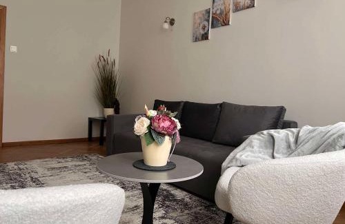 Kaunas Apartment | Vytauto apartamentai centre
