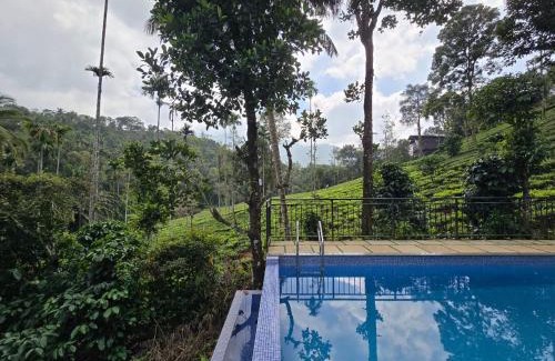 Vythiri House | Vythiri Hill Palace