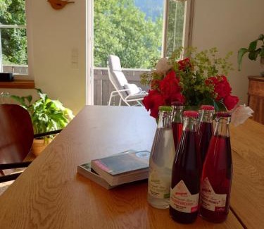 St. Blasien House | WÄLDER: Quartier Haus im Glück